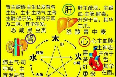 彥五行|彥字五行属什么